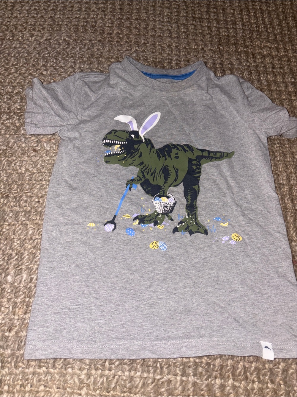 Tommy Bahama Gray Kids T‑Shirt with Green Dinosaur Graphic Sz 5-6